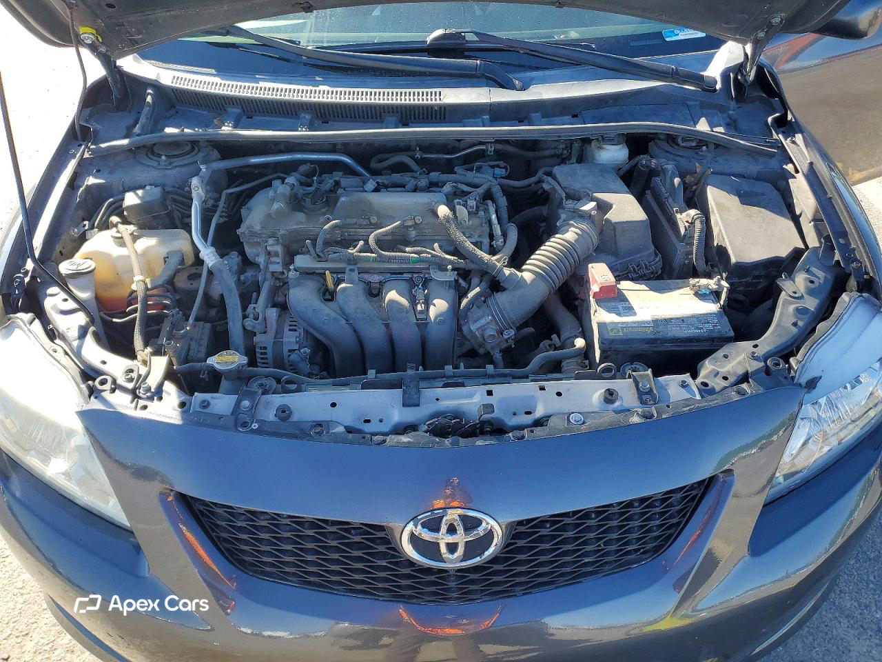Toyota Corolla 2010