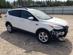 Ford Escape 2013