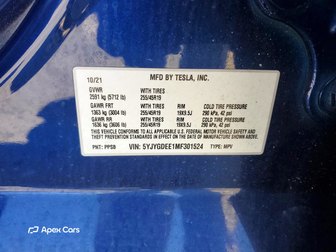 Tesla Model Y 2021