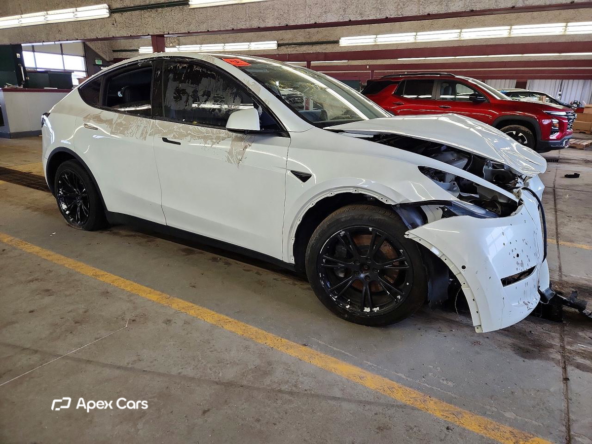 Tesla Model Y 2020