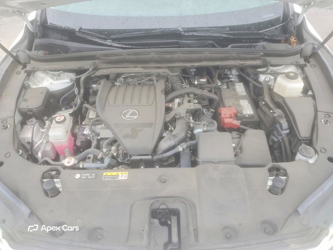 Lexus RX 2024