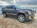 Cadillac Escalade 2016