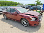 Nissan Maxima 2010