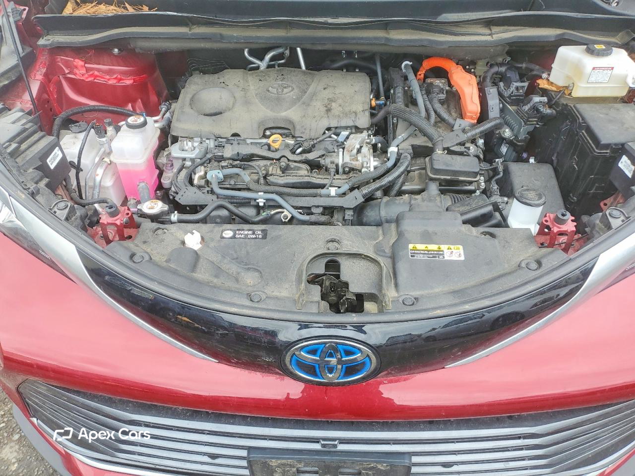 Toyota Sienna 2021