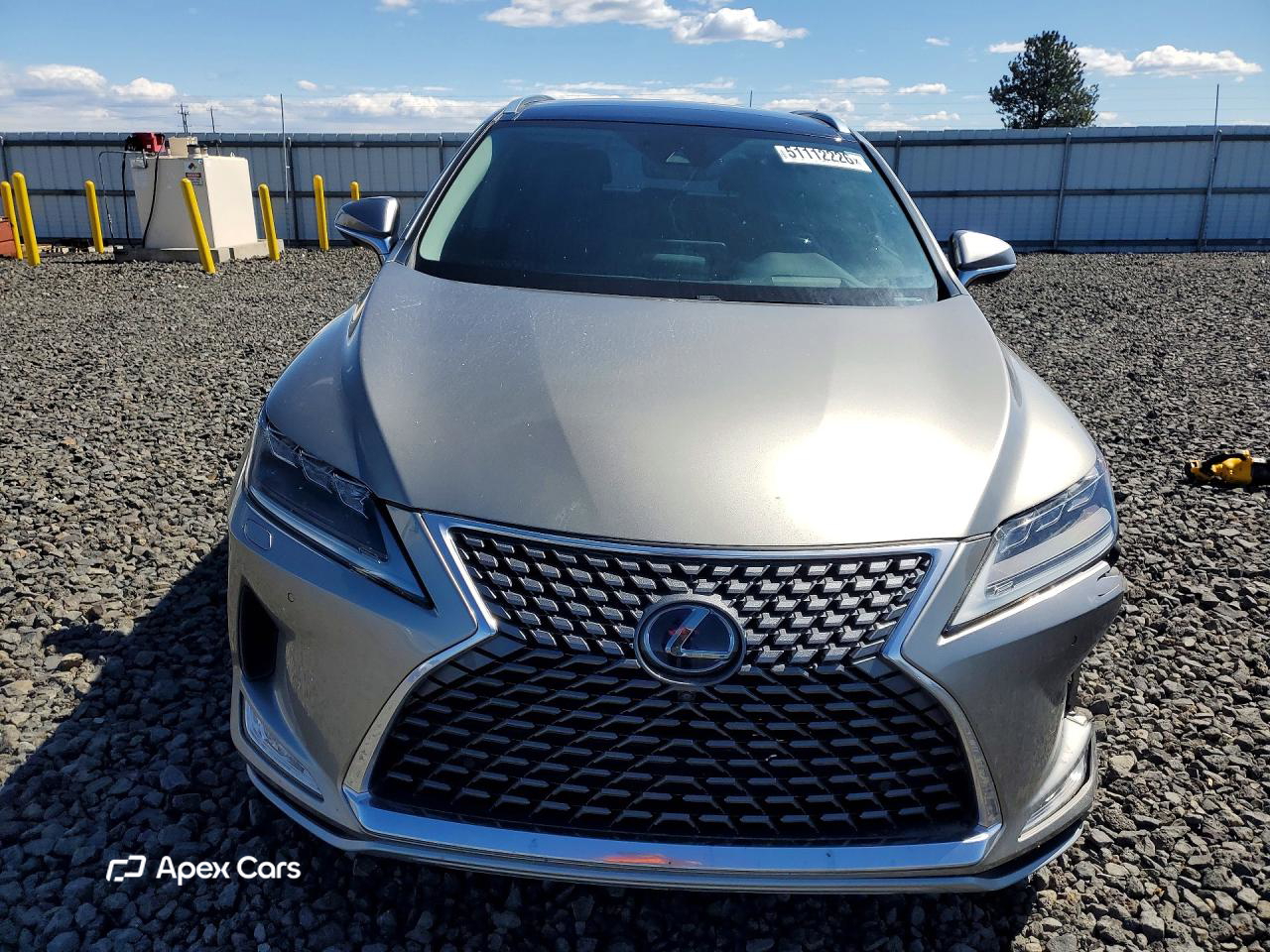 Lexus RX 2020