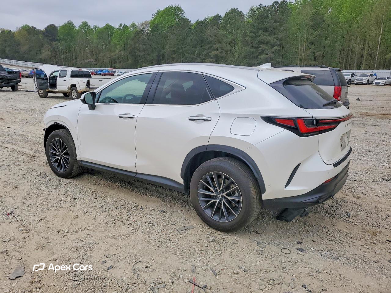 Lexus NX 2025