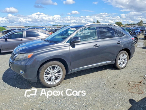 Lexus RX 2010 - Image 1 of 13
