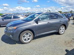 Lexus RX 2010