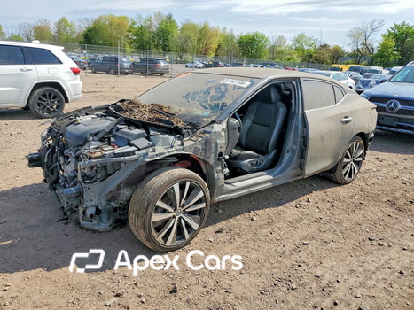 Nissan Maxima 2016 - Zdjęcie 1 z 12