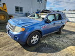 Ford Escape 2010