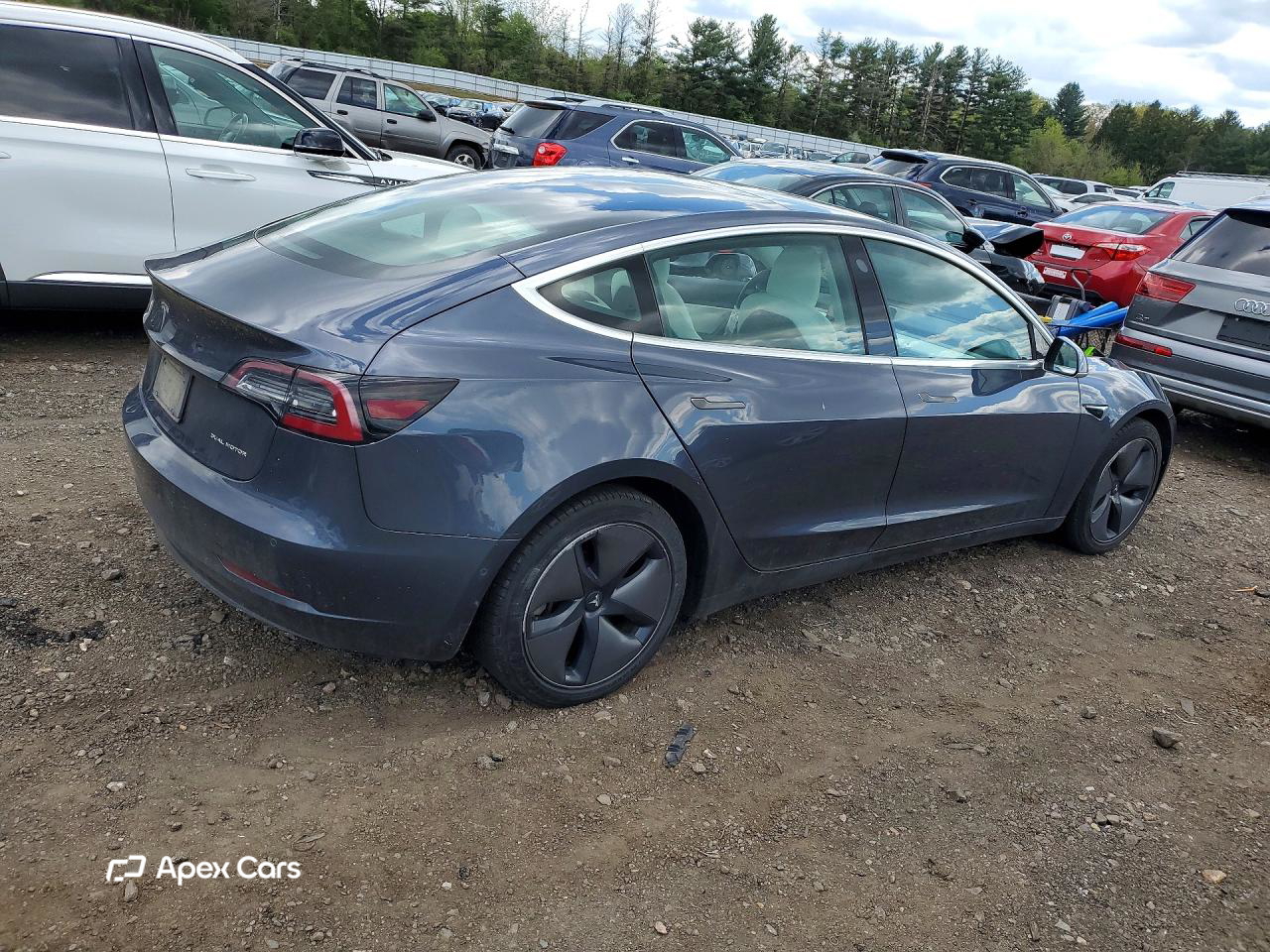 Tesla Model 3 2019