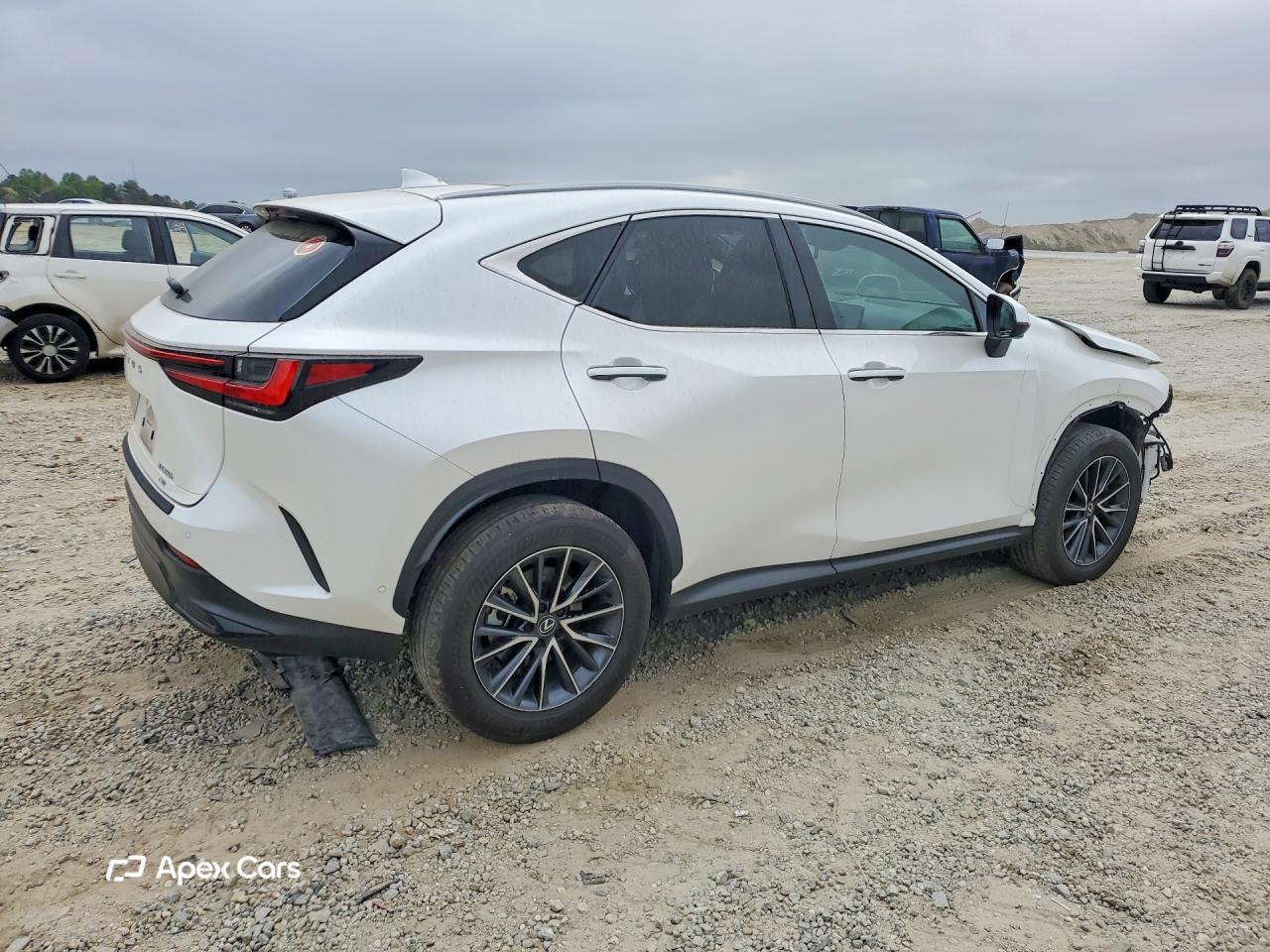 Lexus NX 2025