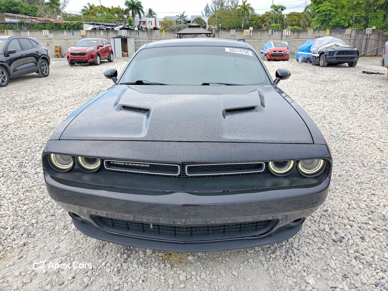Dodge Challenger 2019