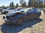 Ford Mustang 2007