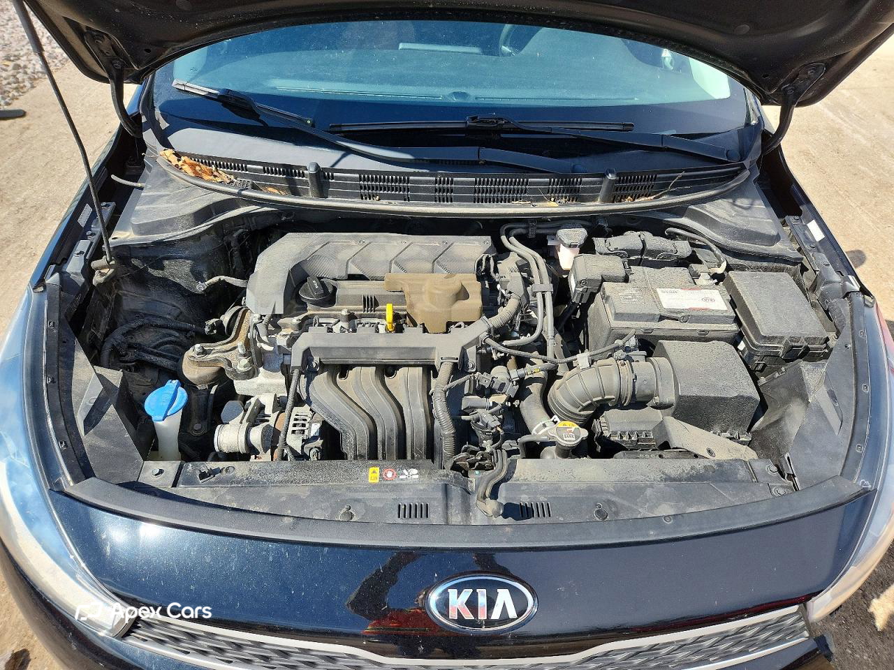 Kia Rio 2020