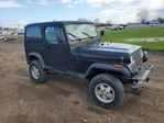 Jeep Wrangler 1988