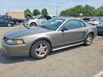 Ford Mustang 2002