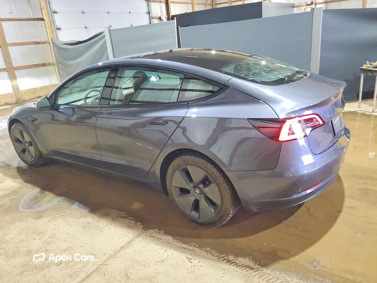 Tesla Model 3 2021
