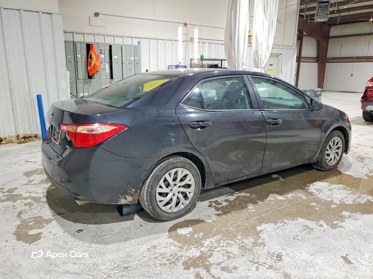 Toyota Corolla 2019