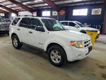 Ford Escape 2009