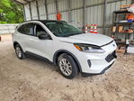 Ford Escape 2021