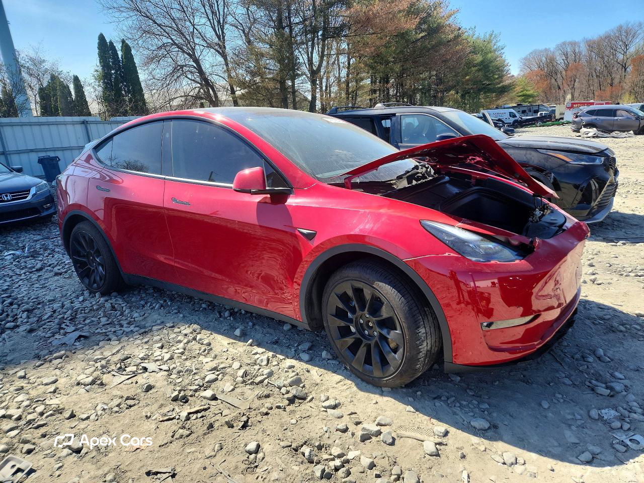 Tesla Model Y 2023
