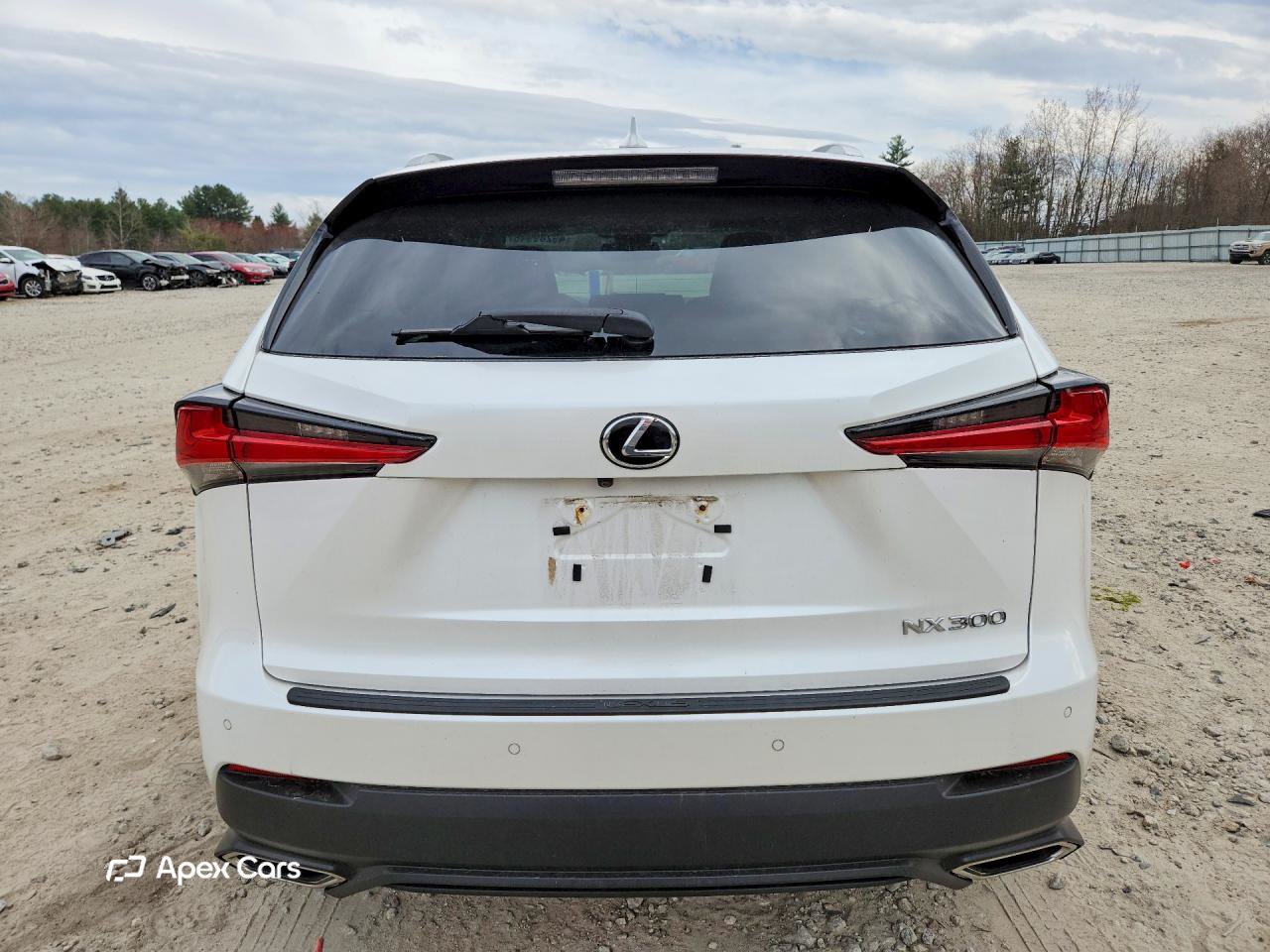 Lexus NX 2018