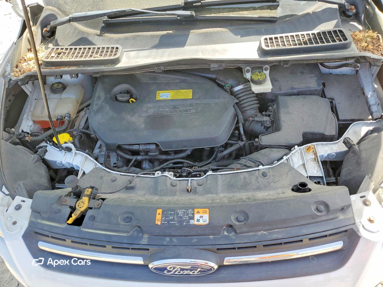 Ford Escape 2013