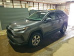 Toyota RAV 4 2024
