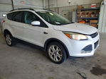 Ford Escape 2013