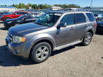 Ford Escape 2009