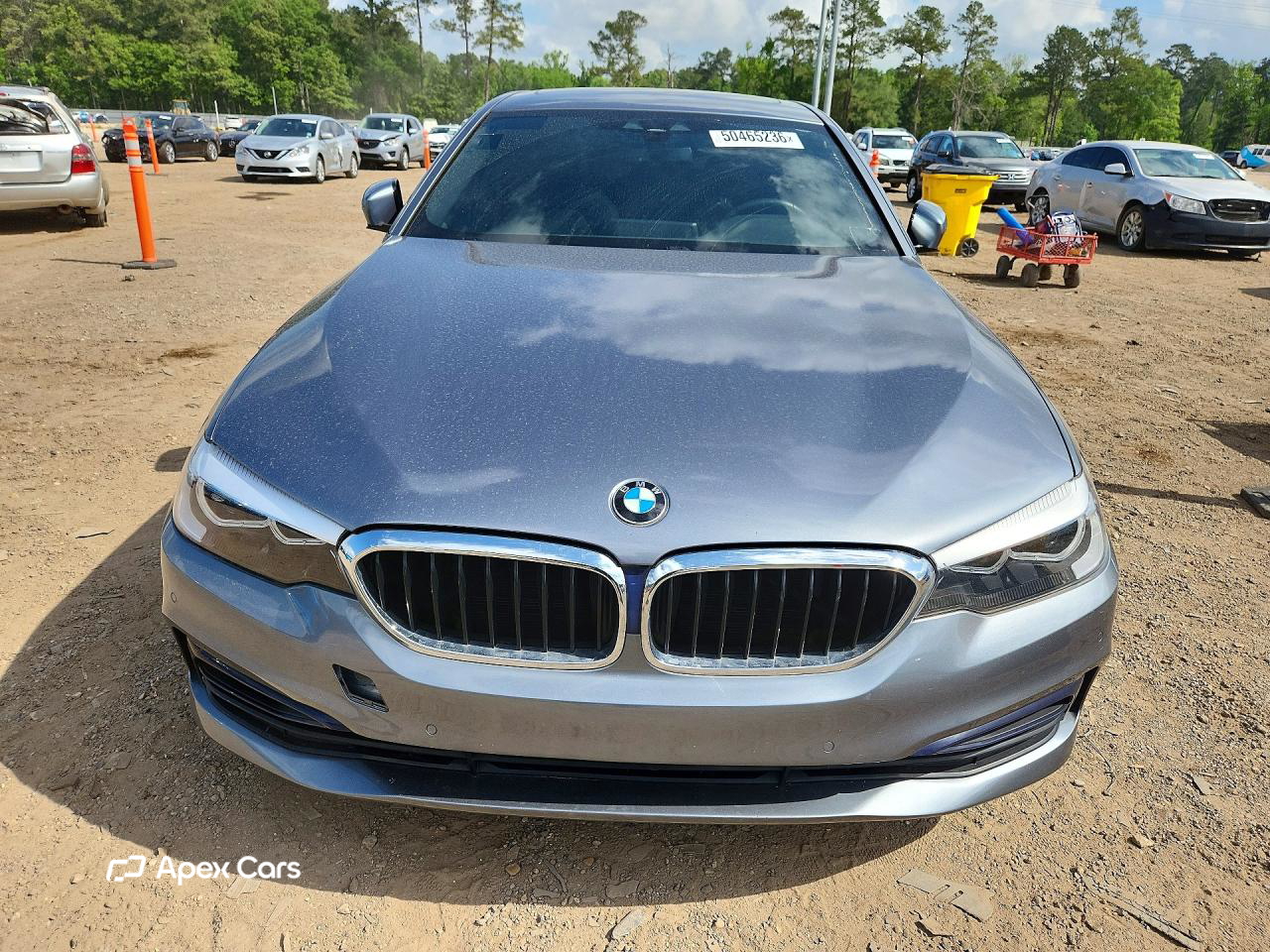 BMW Series 5 2019