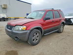 Ford Escape 2005