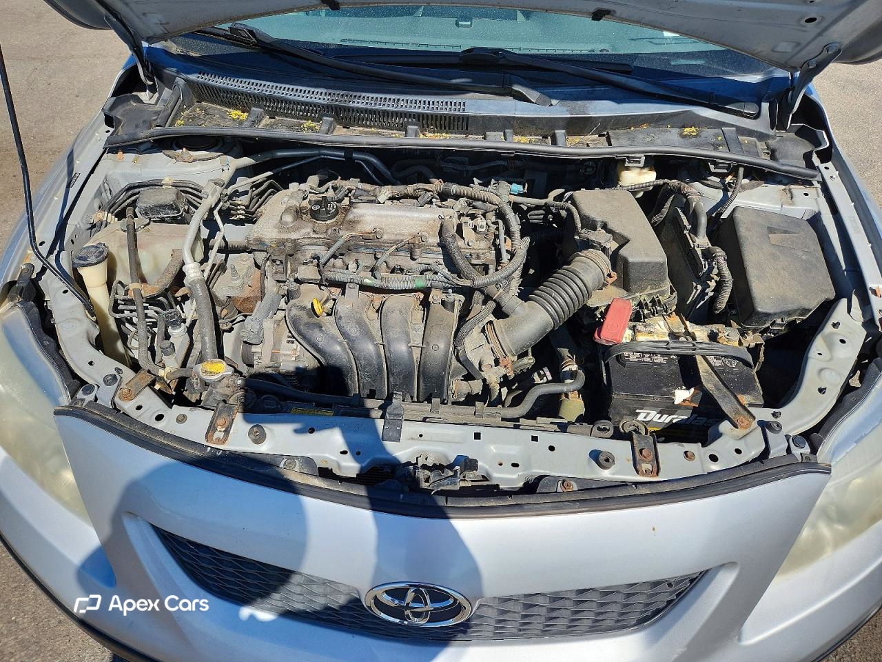 Toyota Corolla 2010