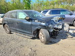 Audi Q5 2010
