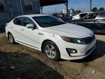 Kia Optima 2014
