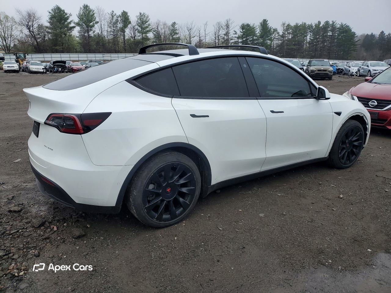 Tesla Model Y 2022