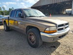 Dodge Dakota 2001