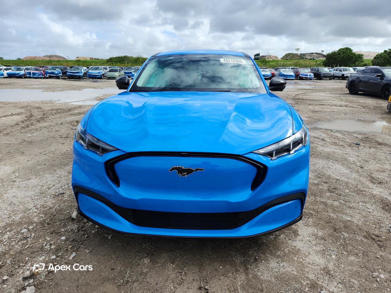 Ford Mustang 2024