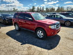 Ford Escape 2011