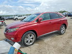Lexus RX 2010