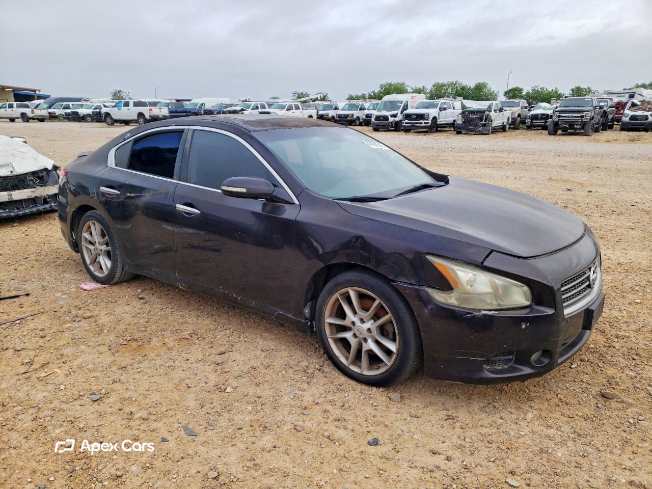 Nissan Maxima 2011
