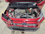 Toyota RAV 4 2022