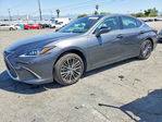 Lexus ES 2022