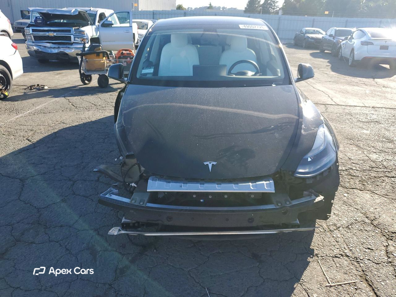 Tesla Model Y 2022