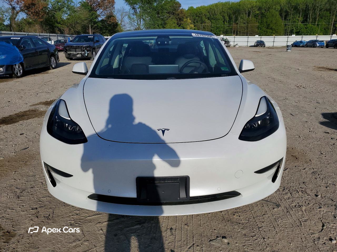 Tesla Model 3 2021