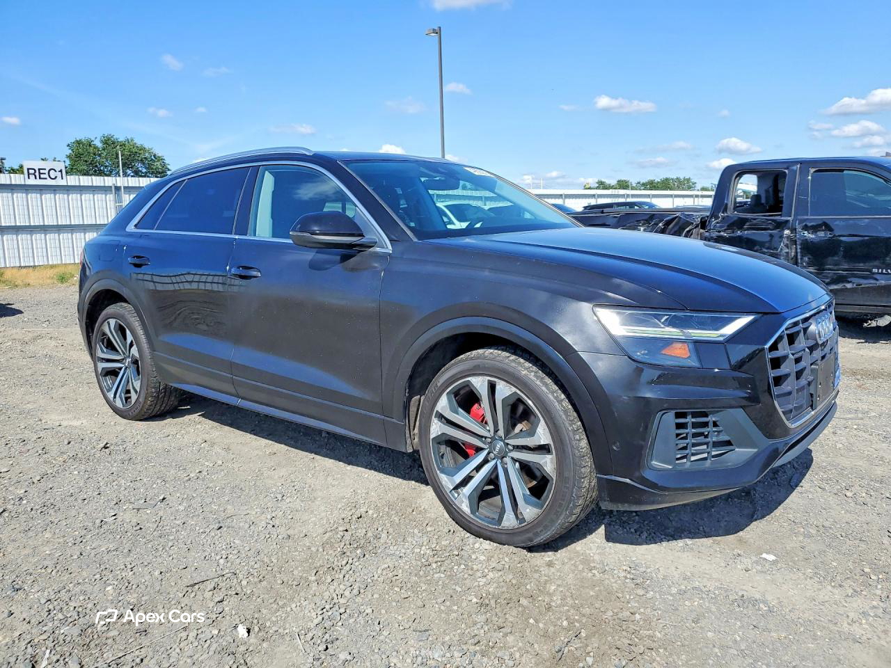 Audi Q8 2019