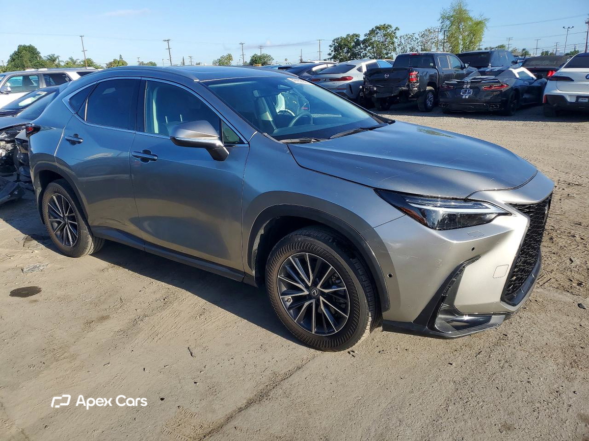 Lexus NX 2024