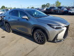 Lexus NX 2024