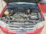 Ford Escape 2008